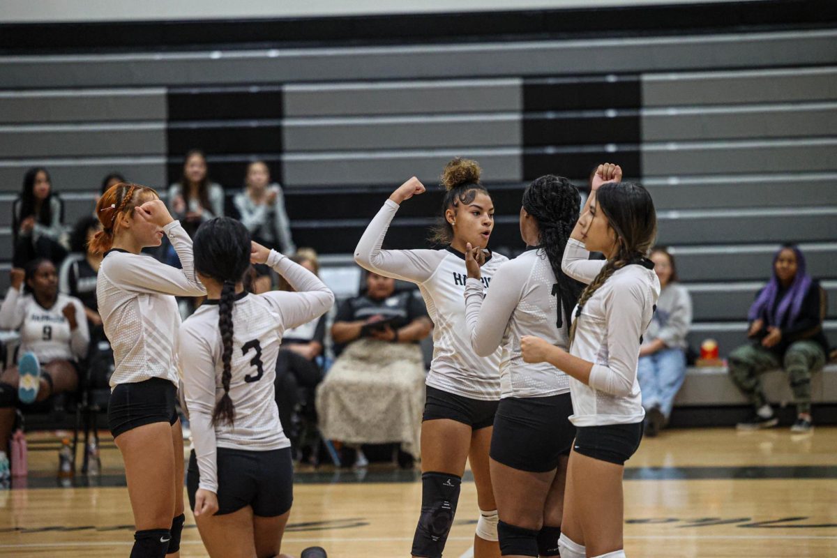 Volleyball Has Strongest Start In Decades